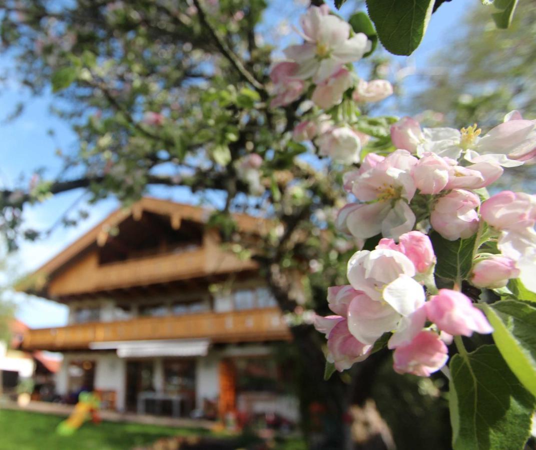 Appartementhaus Schirsner - Direkt Am See & Am Kurpark Schliersee Exteriér fotografie